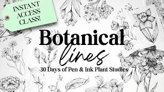 Botanical Lines