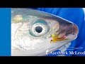 How To Catch A Milkfish on Fly