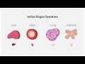 National Institutes of Health (NIH) Standardized Organoid Modeling (SOM) Initiative
