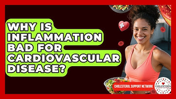 Why Is Inflammation Bad For Cardiovascular Disease? - Cholesterol Support Network