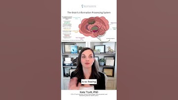 Why Your Thinking Brain Fails During a Crisis