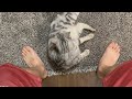近頃、猫が足を攻撃してくるのでちょっかいを出した結果