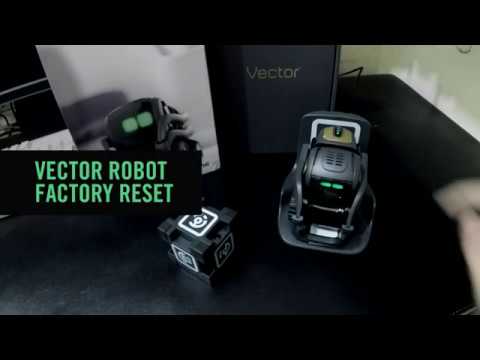 Vector Robot - How to Factory Reset