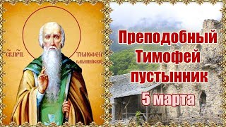 Преподобный Тимофей пустынник. 5 марта.