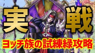 【ドラクエタクト】最強開花魔剣士ピサロ実戦投入！ヨッチ族の試練 緑を3体以下編成でクリア！