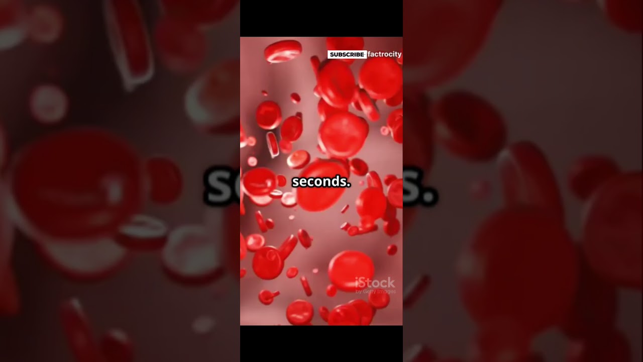 🩸 10 Incredible Facts About Your Blood! ❤️