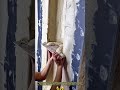 Corner Plastering Technique for Interior Niches #dailywork