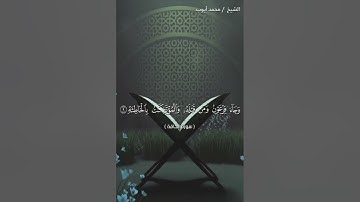 سورة الحاقة من اية {9}الى {24}بصوت الشيخ محمد أيوب