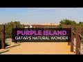 Visiting Purple Island (Al Khor Island): One of Qatar's natural wonders