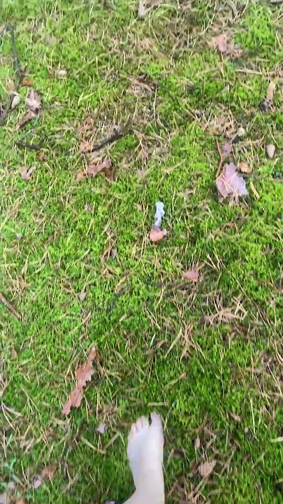 Moss walk series: Rainbow