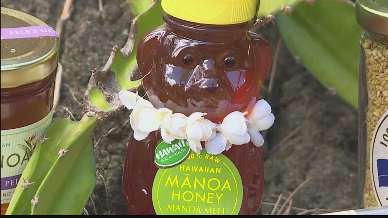 Hawaii Grown Hawaii Made Manoa Honey Company YouTube