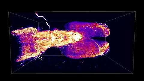 Brain wide Dopamine networks in intact Salamander brain; imaged with SCOPE-enabled pLSM/SLICE