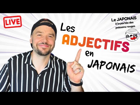 Vidéo: Où vont les adjectifs en japonais ?