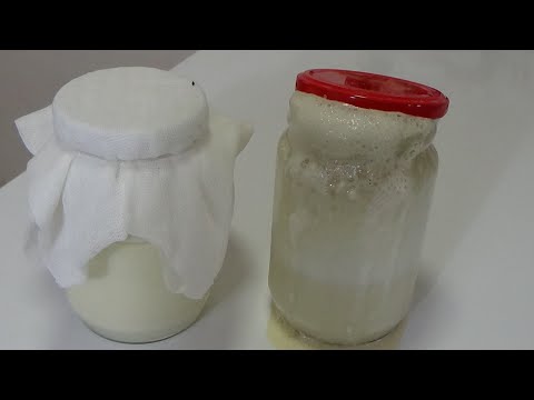TESTO NARASTA KAO LUDO!!DOMAĆI KVASAC/MAJA(Kako da sami pripremite kvasac) / How to make a yeast !