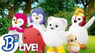 live enjoy a summery day with badanamu nursery rhymes abc songs and kids songs