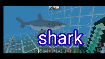 shark mod in minecraft pe