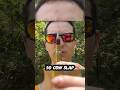 The Power of 50 Cow Slap!! #shorts #hunting #experimnent #military