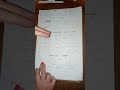 full lecture of larynx