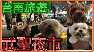 【台南旅遊】寵物旅遊之～小可愛旺旺遊武聖夜市Tainan Wu Sheng Night Market