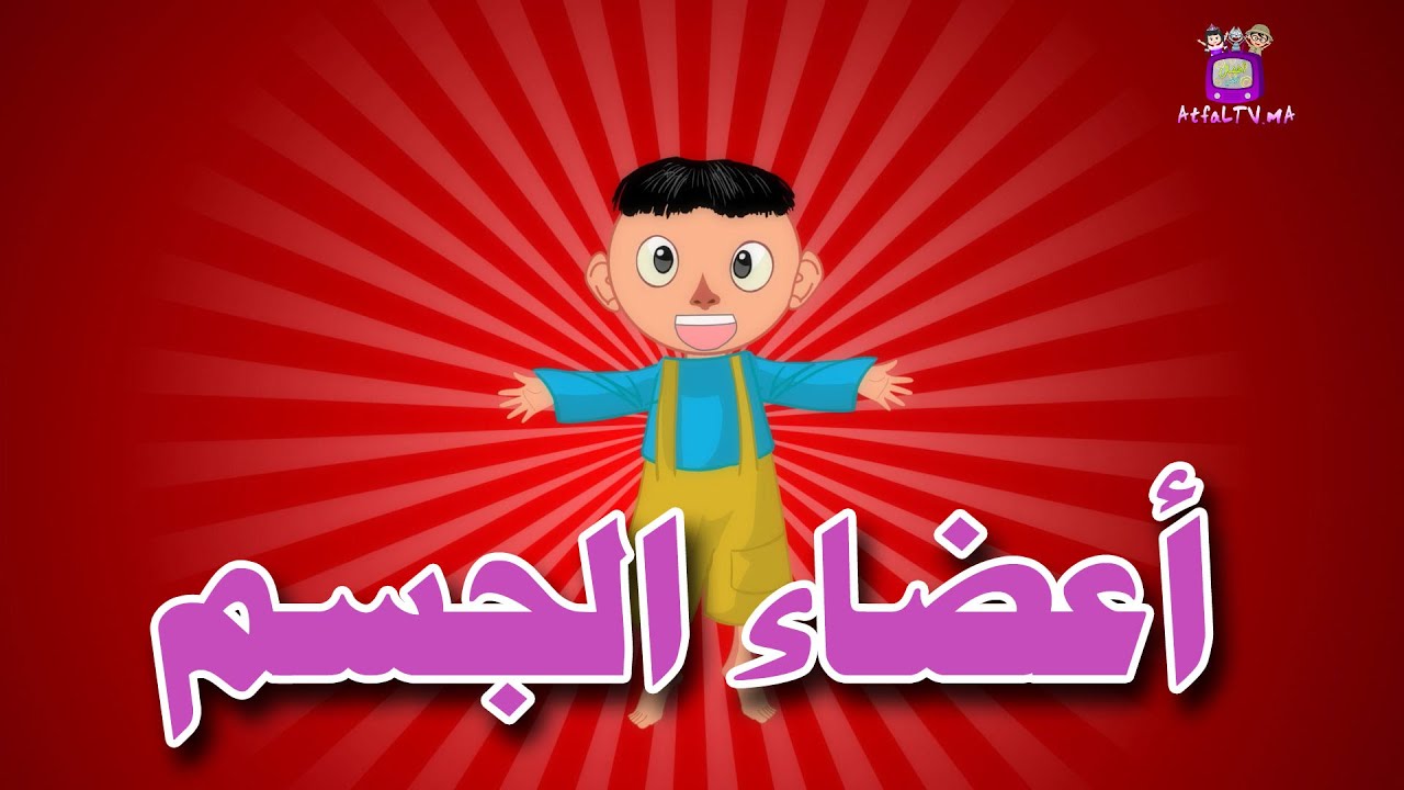 Human Body Parts In Arabic Atfal Tv أعضاء الجسم باللغة العربية