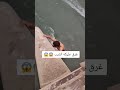 غرق عليكه الذيب خطيه شوف قبل لا ينحذف الفيديو 
