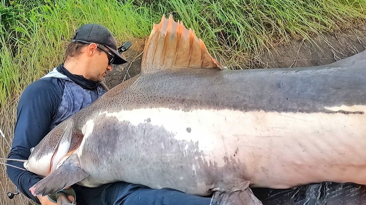 SEGURE-SE NA CADEIRA, CUIDE DO CORAÇÃO, O QUE VOCÊ VAI VER É DE ARREPIAR!!! Pescaria.