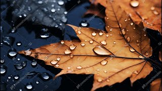 Autumn Reflections No. 7/Silent Rain Abraham Mulder