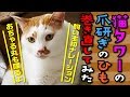 【猫 実験】猫タワーの爪研ぎのひも巻き直してみた