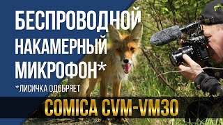 картинка: Оригинально, но полезно ли? Беспроводной накамерный микрофон Comica VM30.
