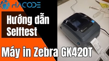 Thiết lập căn khổ giấy và in feed máy in Zebra GK420T - Zebra GK420T Printer Setup.