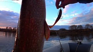 видео: Хорошая щука на первом забросе! Рыбалка на джиг! Рыбалка на Оке! картинка: Хорошая щука на первом забросе! Рыбалка на джиг! Рыбалка на Оке!