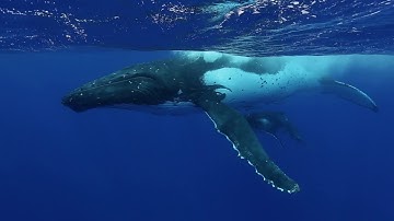 Earth observations: Delivering insight for decisions (Overview)