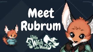 Meet Rubrum   Little Witch In The Woods
