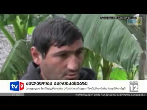 ახალი 12 | ძალადობა ჯარისკაცებზე | 10.11.12