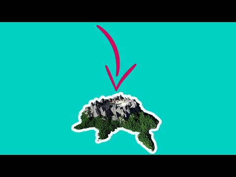 Какой самый редкий