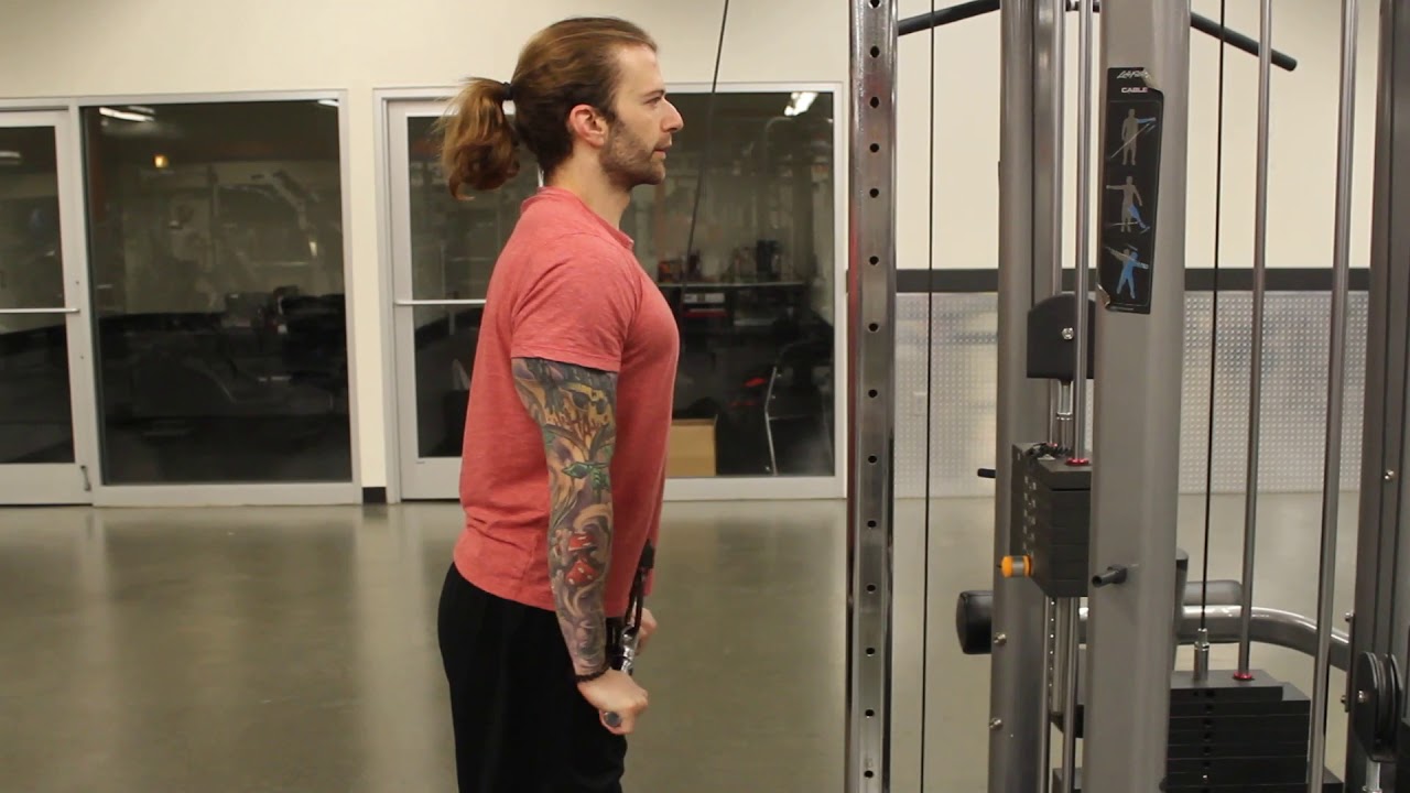 Cable Bar Tricep Pushdowns YouTube