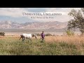 Unbranded, Unclaimed – Wild Horses of the West