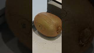 Sayısız Faydasıyla Kivi Sayesinde Kaş Almayı Da Pratik Ve Kolayca Öğrenebilirsiniz