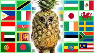 Pineapple Owl in 70 Languages Meme by Latamata 49,355 views 6 months ago 10 minutes, 49 seconds