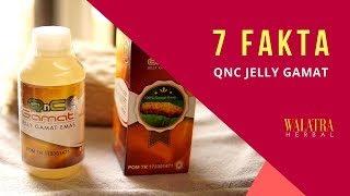 QnC Jelly Gamat Asli - Jely Gamat - Jeli Gamat