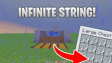 Infinite string farm in Minecraft 1.21 & 1.20 (Duplicate glitch) | Minecraft Tutorial
