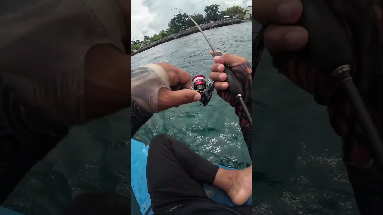 SOFTBAIT GOLD | CATCH AND COOK | CEBU CITY ANGLER