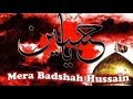 💓Mera HUSSAIN he 💓 | Whatsapp Status Whatsapp Status Video Download Free
