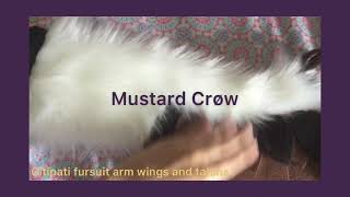 Citipati Dinosaur Fursuit: LockJaw the Citipati (Part Two: The Arm Sleeves Wings)