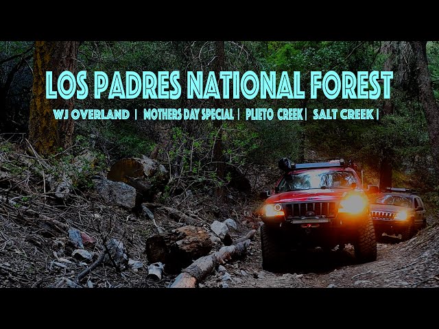 Los Padres National Forerst | Pleito Creek 21W01 | Salt Creek