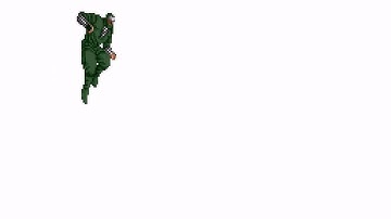 Ninja Sprite Animation
