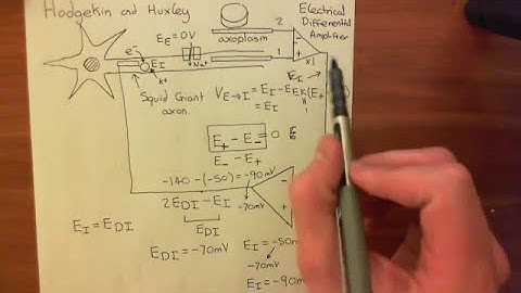 The Voltage Clamp Part 4