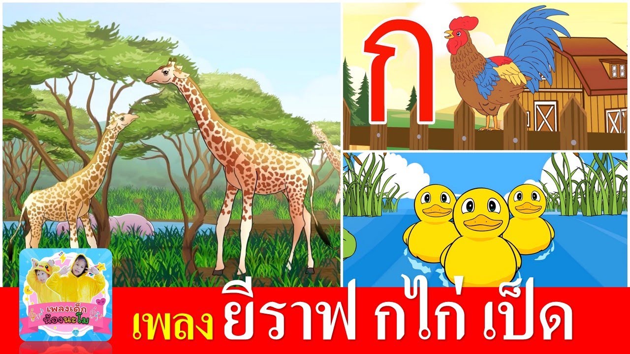 เพลงเด็กอนุบาล ยีราฟ กไก่ เป็ด | ยีราฟคอยาว | ก เอ๋ย กไก่ | เป็ดอาบน้ำในคลอง