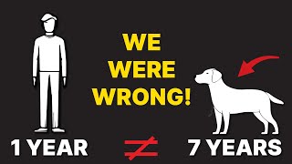 1 Dog Year Is NOT 7 Human Years. And 13 More Truths Over Myths
