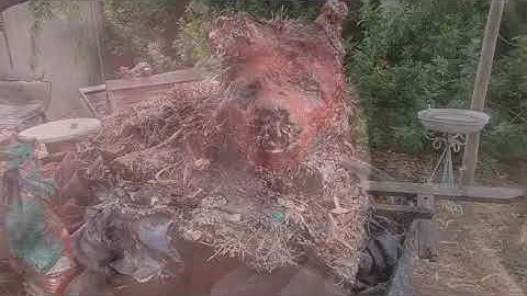 The liturgical breach #2